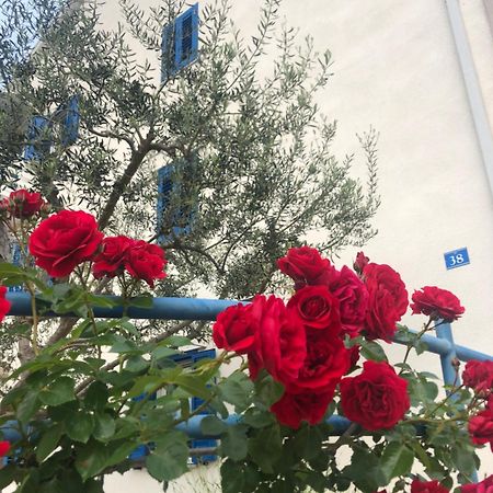 Olive Tree Apartments Umag Luaran gambar