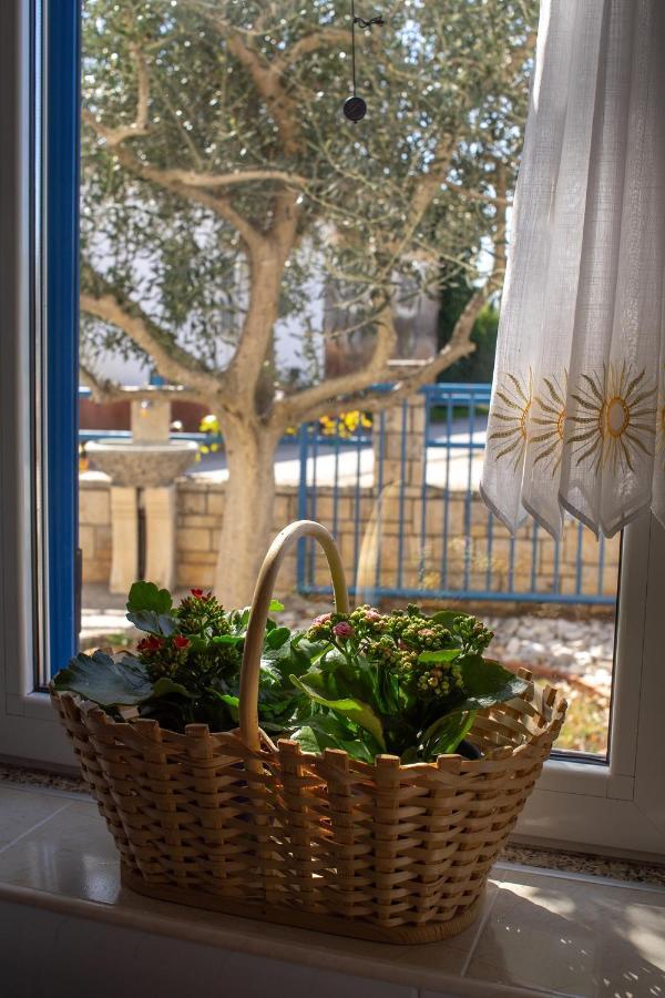 Olive Tree Apartments Umag Luaran gambar