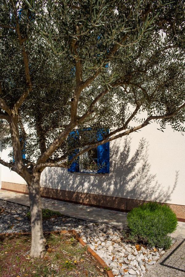Olive Tree Apartments Umag Luaran gambar